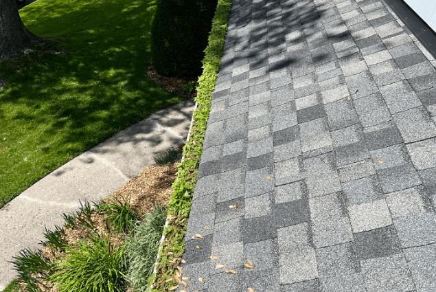 Eavestrough Cleaning