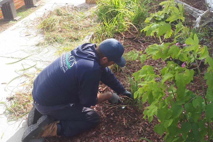 Full-service Gardening