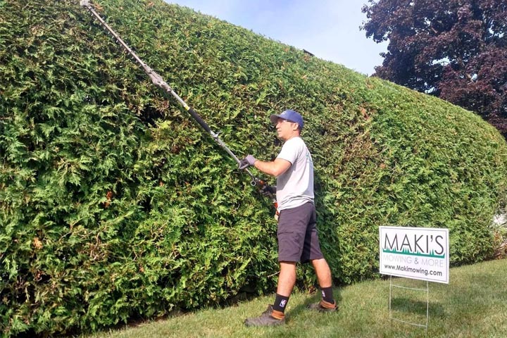 Hedge Trimming